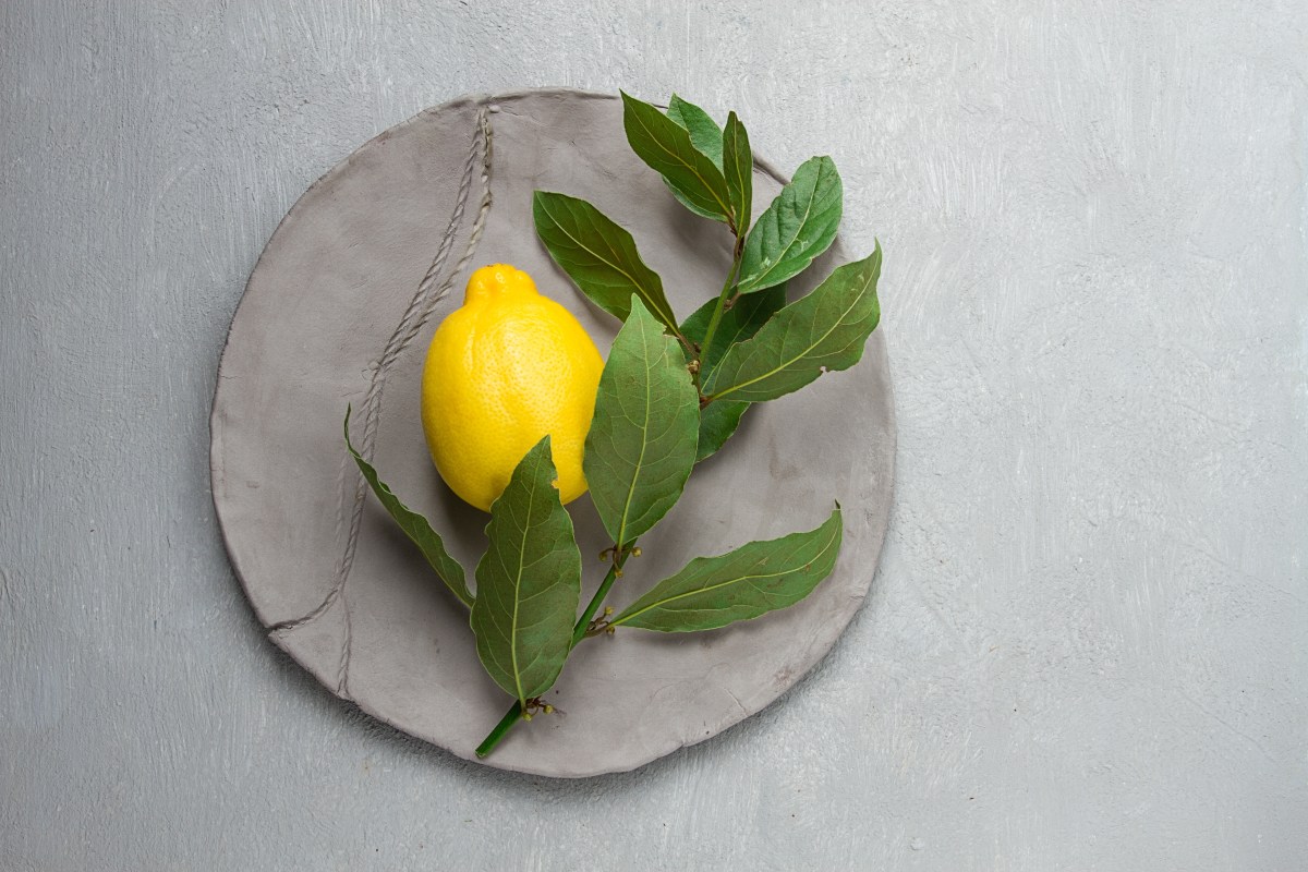 Položte citrón s bobkovými listami na vašu posteľ. Na druhý deň ráno, aj keď poviete.