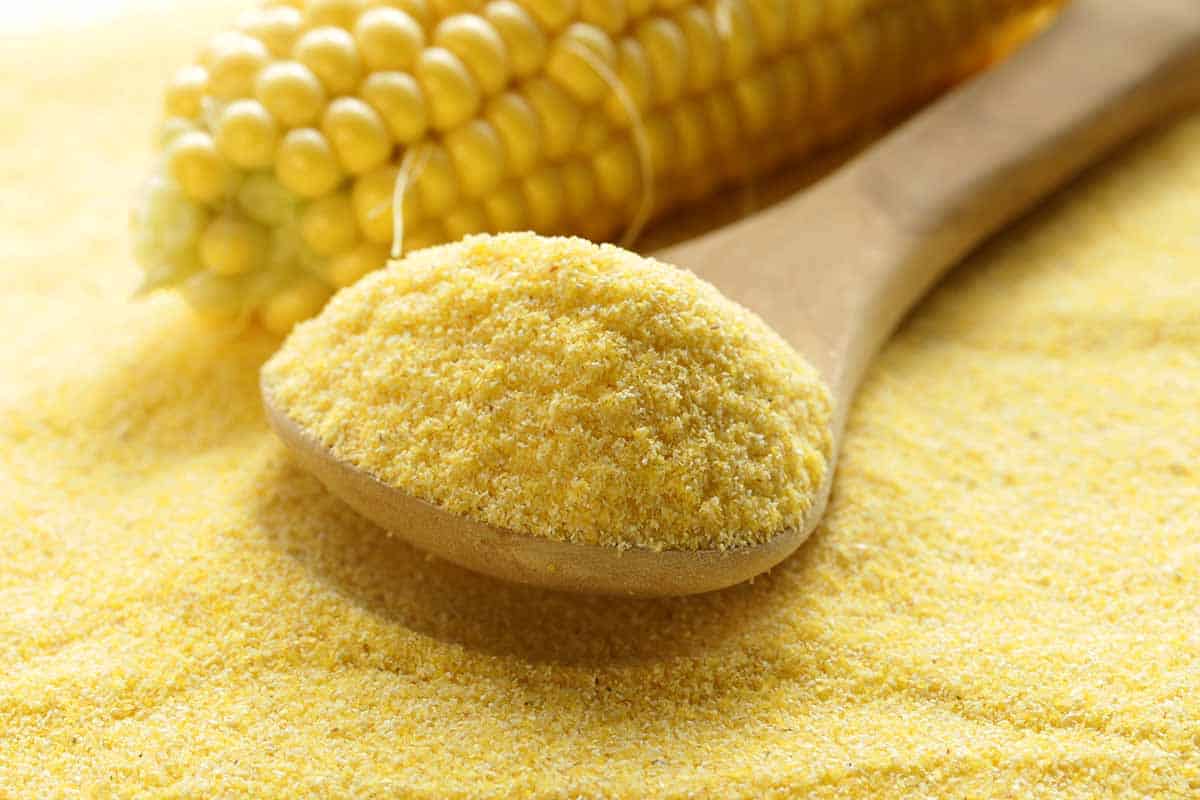 Sadenie polenty na záhony: načo je to potrebné a prečo sa to odporúča.