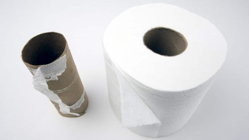 Rolky toaletného papiera sú na váhu zlata, nevyhadzujte ich!