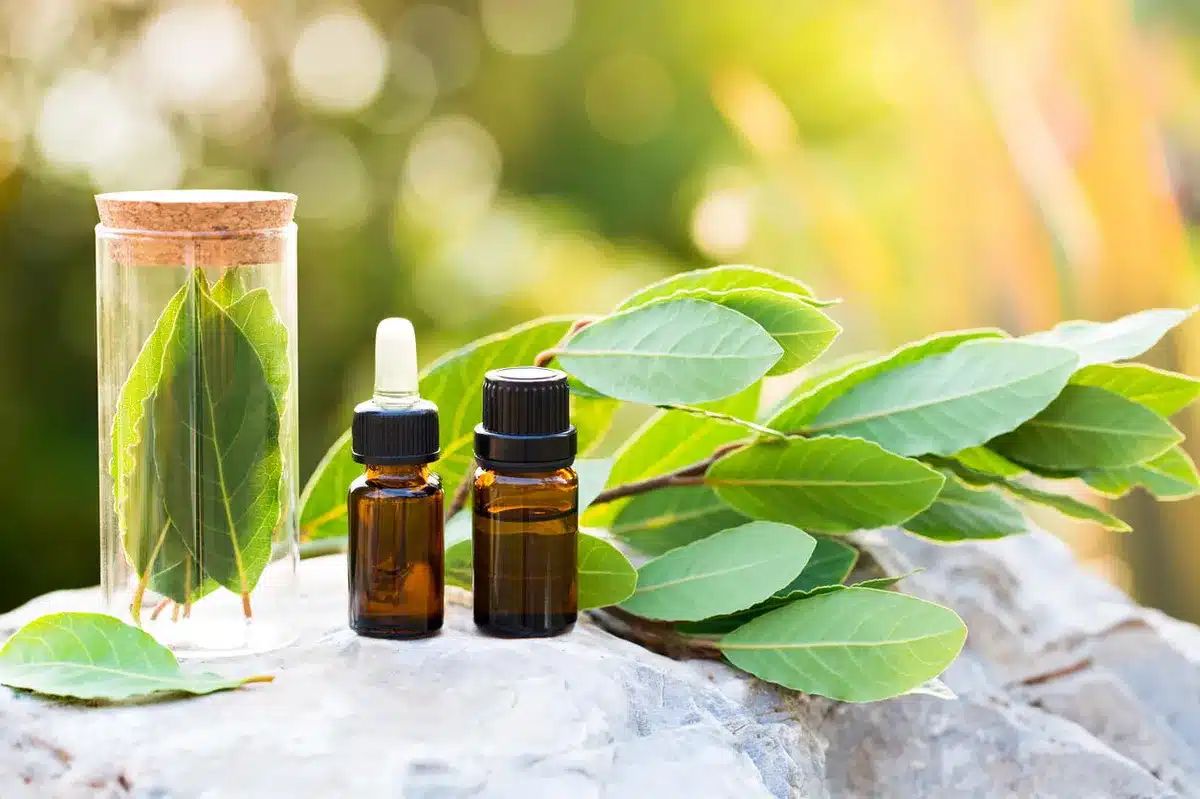 Pozitívne vlastnosti vavrínového oleja: zmierňuje bolesti kĺbov a svalov.