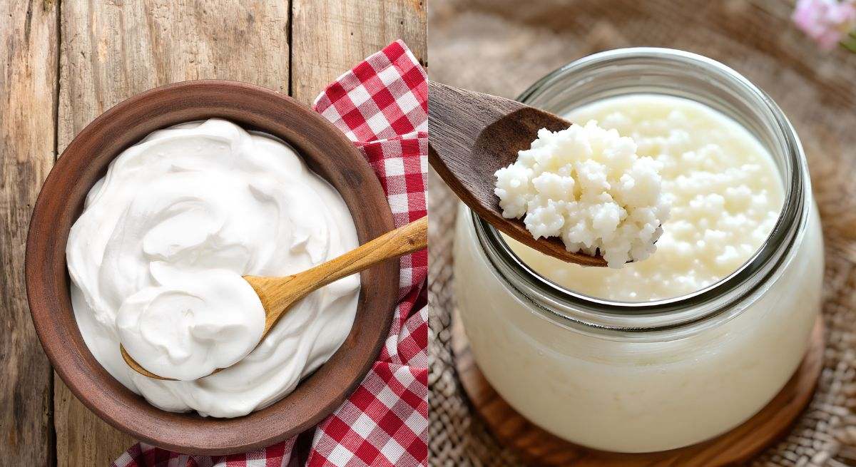 Čo je zdravšie pre črevá: kefír alebo jogurt?