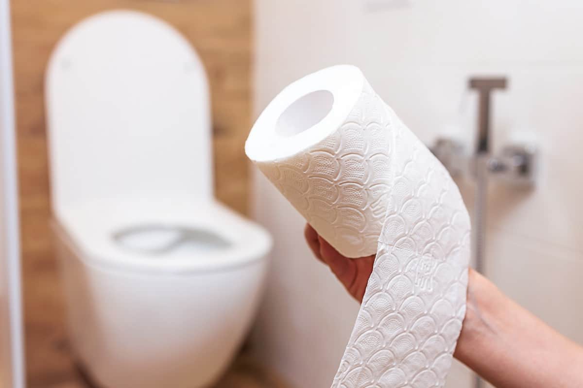 Éra toaletného papiera sa chýli ku koncu; čoraz viac ľudí volí efektívnejšie alternatívy.