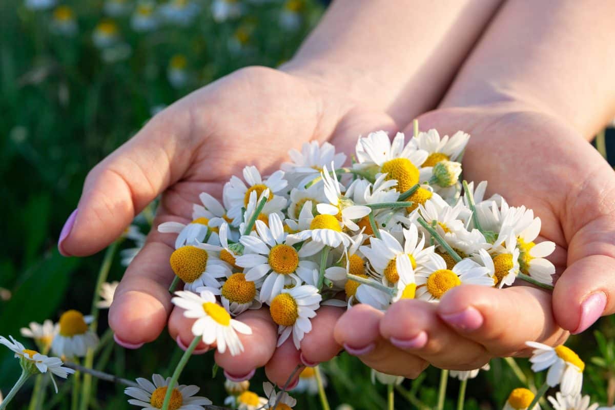 Bež do lekárne a kúp si túto masť za 9 eur. Vrásky sa vyhladia.