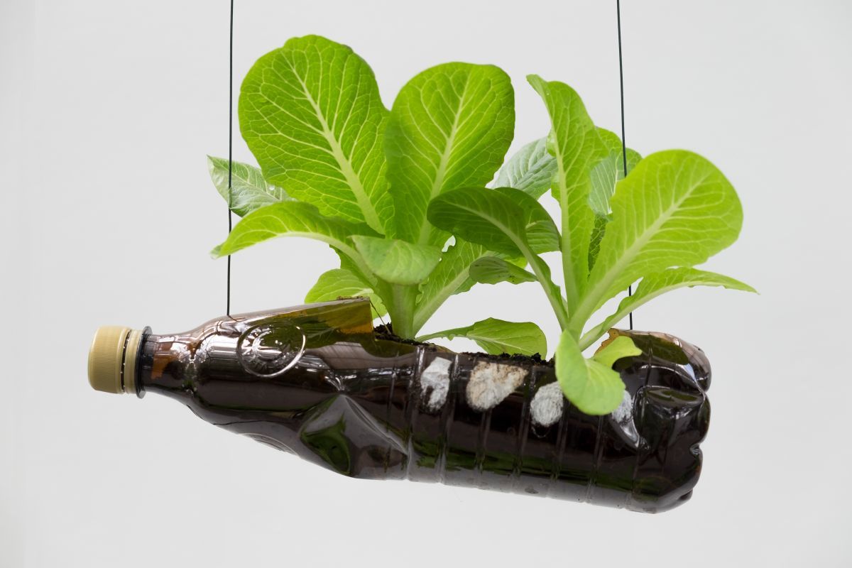 Neutrácejte peniaze za drahú skleník: môžete si ho vyrobiť doma za 30 minút.