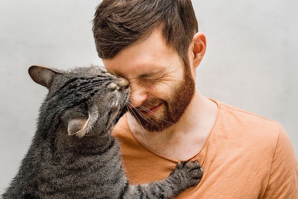 Odborník na správanie zvierat vysvetľuje, ako mačka vníma človeka.