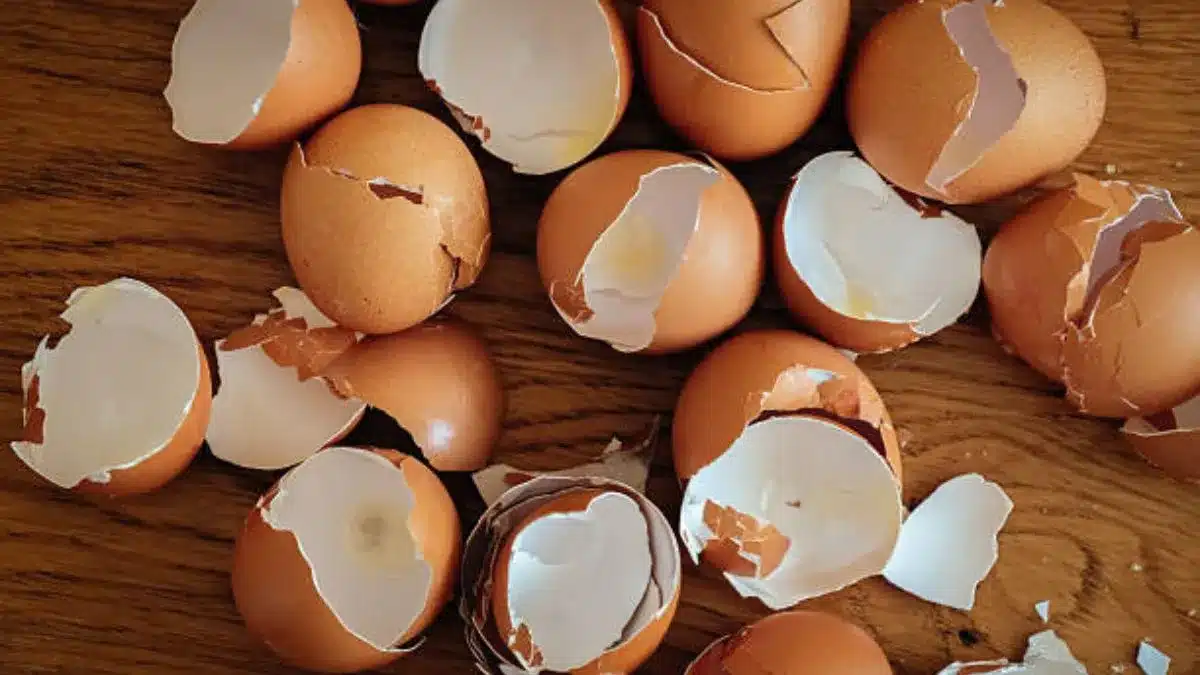 Recyklácia: Nevyhadzujte vaječné škrupiny, uchovajte ich a premeňte na úžasné interiérové doplnky.