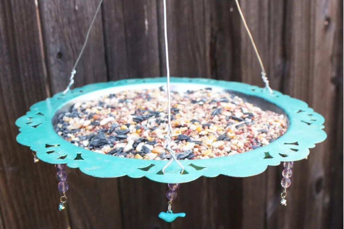 Návod: Zavesite staré hrnčeky na stromy v záhrade, pozvite vtáky na hostinu a zachráňte životy.