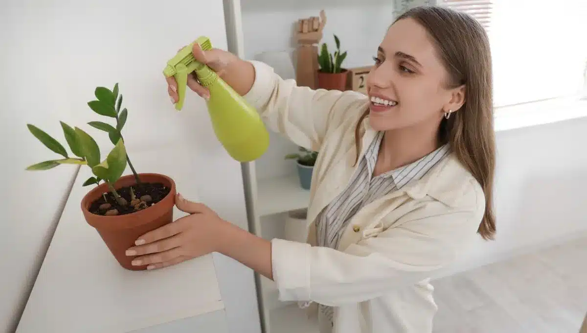 Ako vyčistiť listy izbových rastlín a dodať im lesk bez ich poškodenia.