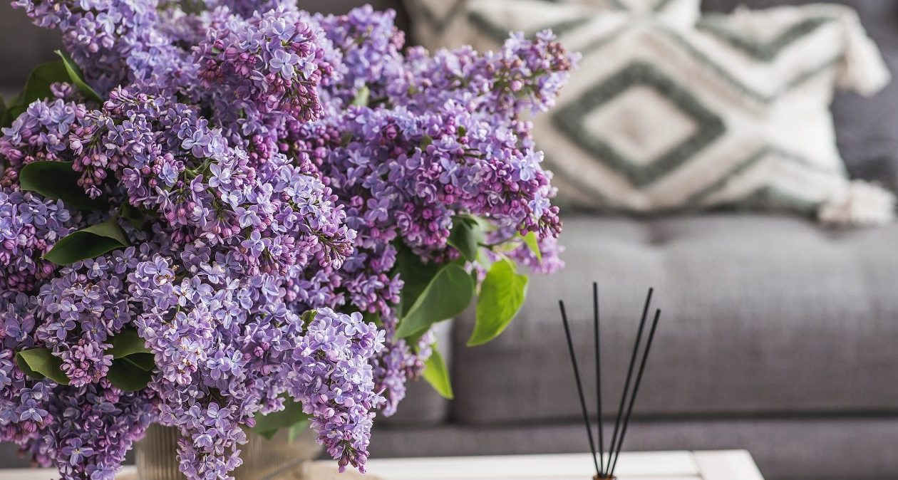 Premiešam a dám do obývačky. Hostia sa pýtajú, odkiaľ pochádza táto jarná vôňa