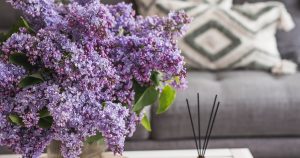 Premiešam a dám do obývačky. Hostia sa pýtajú, odkiaľ pochádza táto jarná vôňa