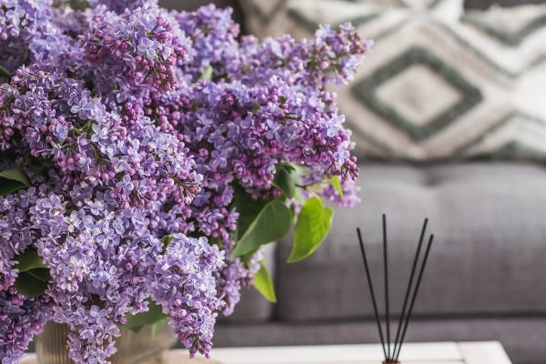 Premiešam a dám do obývačky. Hostia sa pýtajú, odkiaľ pochádza táto jarná vôňa