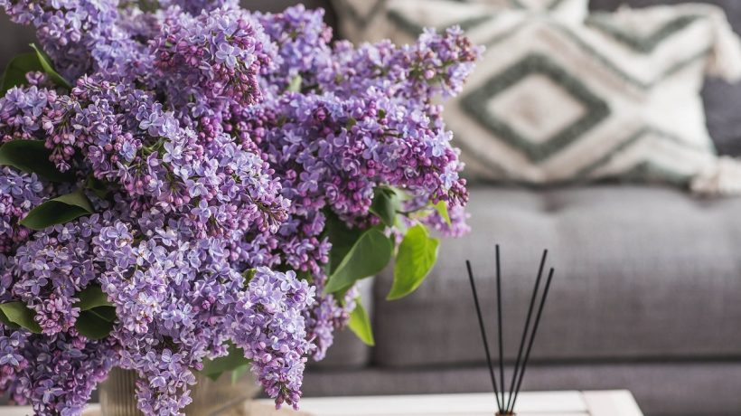 Premiešam a dám do obývačky. Hostia sa pýtajú, odkiaľ pochádza táto jarná vôňa